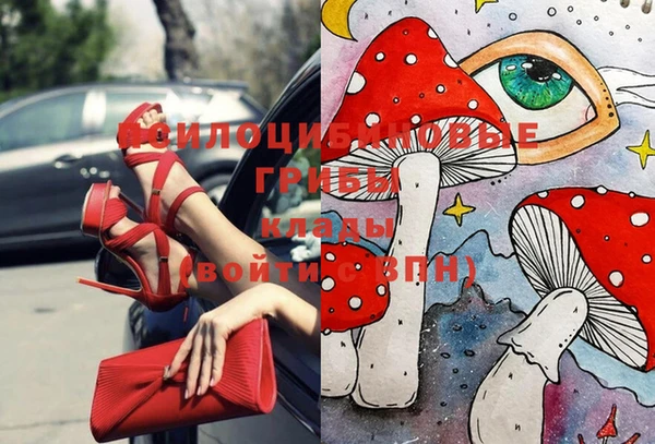 ГАЛЛЮЦИНОГЕННЫЕ ГРИБЫ Алексин