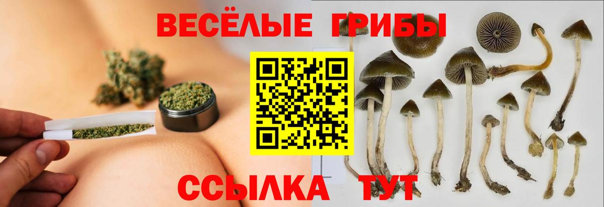 Псилоцибиновые грибы мухоморы  Псилоцибиновые грибы Cubensis  где найти   Вход с VPN  Казань 